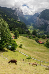 iconico valle suizo lleno de cascadas y cabañas de madera llamado Lauterbrunnen