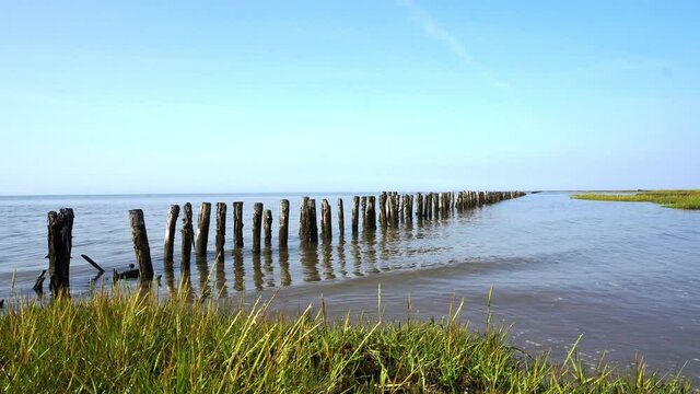 Buhnen im Watt an der Nordseek&uuml;ste - Nordsee K&uuml;ste