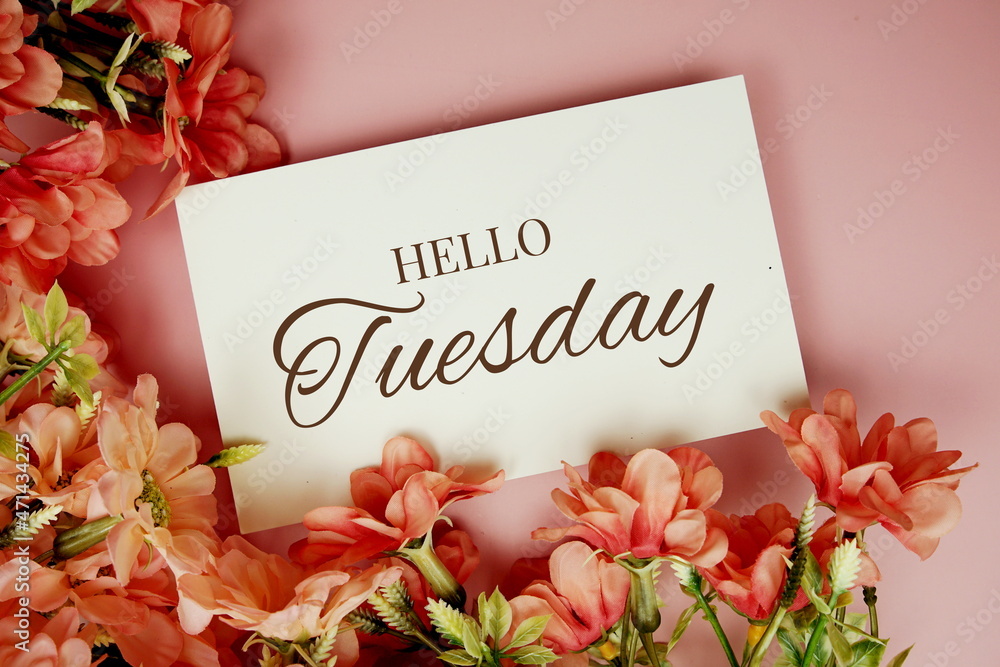 Poster Hello Tuesday typography text with flowers frame on pink background