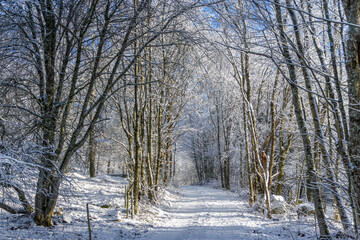 paysage d'hiver,...