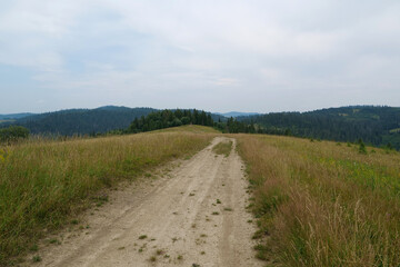 Dirt road in beautiful Carpathian Mountains, Ukraine