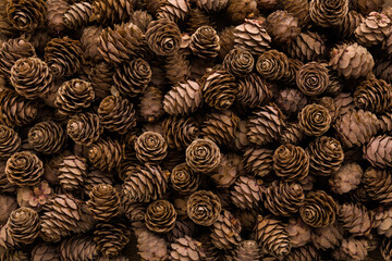 Dry brown pine cones background. Closeup. Top down view.