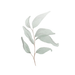 Watercolor green leaf vector illustration