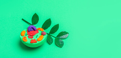 Model of plant cell on green background. Green world and education concept