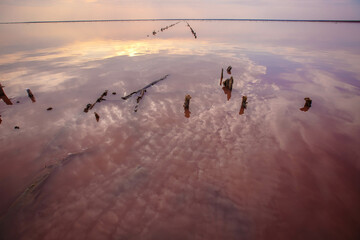 Obraz na płótnie Canvas Sunset on the Pink Lake in Ukraine. The water looks pink because of the special algae that grows with a high salt content.