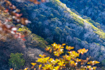 Fototapeta na wymiar 赤城山から見る紅葉した山の景色