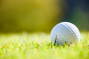 緑が綺麗な芝と真っ白なゴルフボール