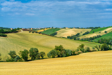 Rural landscape near Ostra Vetere and Cingoli, Marche, Italy