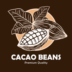 Hand drawn Logo cacao, leaves, cocoa seeds and chocolate illustration set