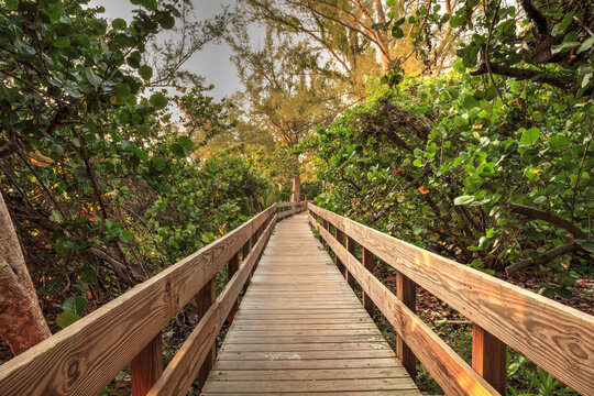 Boardwalk Leading Toward Delnor-wiggins State Park At Sunset In Naples, Florida.
