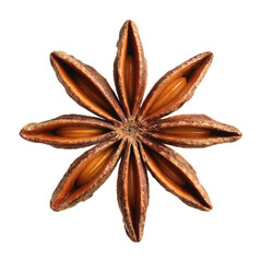 Aromatic dry anise star isolated on white
