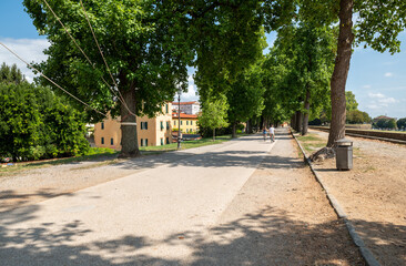 Lucca, Tuscany, Italy. August 2020. Beautiful view of the tree-lined avenue with the promenade along the defensive walls. Beautiful summer day, people on bikes. - obrazy, fototapety, plakaty