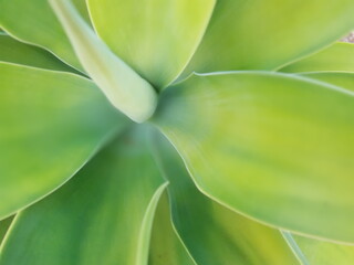 Obraz premium background