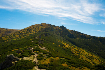 Beautiful mountain landscape on sunny day. Drone photography