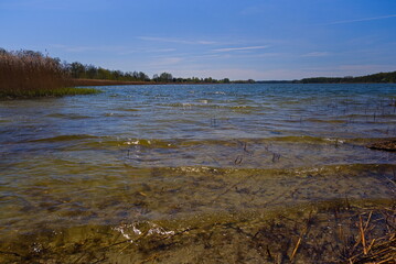 Waves on the lake on a sunny day 
