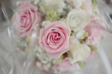 Natural pink white rose bouquet in natural lightning outdoors on display with blurry blank intentional background