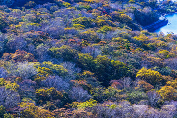 Fototapeta na wymiar 赤城山から見る紅葉した山の景色