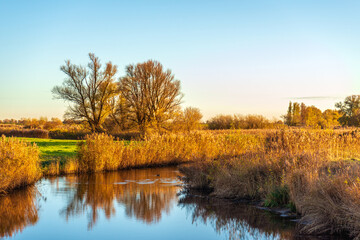 Picturesque landscape in Dutch National Park De Biesbosch near the village of Werkendam, province of North Brabant. The photo was taken at the end of a sunny day in the autumn season.