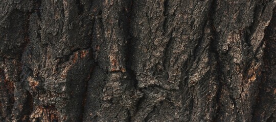 Natural wood texture background