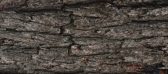 Natural wood texture background