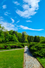 Beautiful young green park against the blue sky.