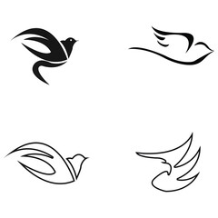 Fototapeta premium Abstract Bird logo design template