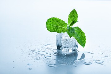 Top view of mint leaves with ice cubes and water drops on pastel background
