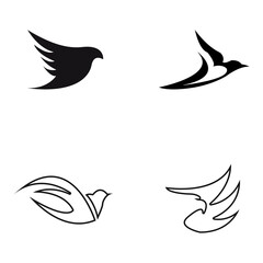 Fototapeta premium Abstract Bird logo design template