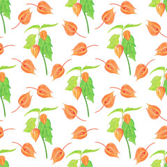 Physalis golden berry with branch in seamless pattern on white background. Watercolor hand drawing illustration. Orange autumn plant.