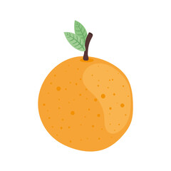 delicious orange fruit