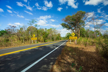 Rural asphalt road among the fields in summer season 