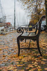 bench in autumn park