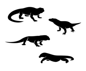 illustration of komodo, giant lizard from Indonesia, komodo island, silhouette of komodo
