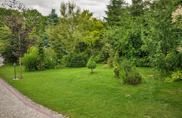 Fototapeta na wymiar Garden 1 near Urzedow town. Poland