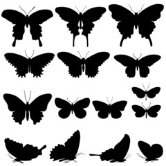 set of butterflies silhouettes svg vector illustration
