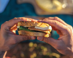 veggie sandwich from the protagonist point of view with sunset light.