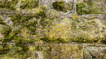 Old mossy wall