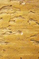 old foam texture