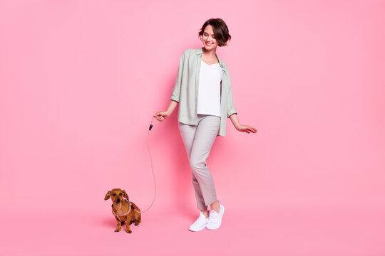 Full size photo of funny young lady with dog wear grey green suit isolated on pink background