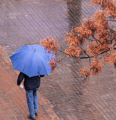 Man with umbrella walking in the park