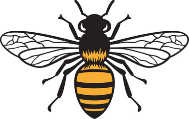 Bee Insect Color Vector Illustration