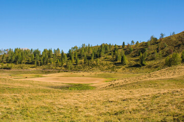 Fototapeta na wymiar The Laghi di Festons alpine meadow on Sella Festons near Sauris di Sopra, Udine Province, Friuli-Venezia Giulia, north east Italy. Used as a summer pasture for dairy cows 
