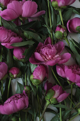 Closeup of pink peony flowers bouquet. Minimalist elegant aesthetic floral composition