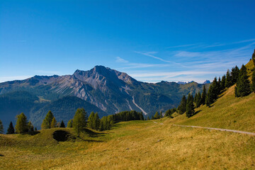 Monte Bivera viewed from the slopes of Monte Morgenleit near Sauris di Sopra, Udine Province, Friuli-Venezia Giulia, north east Italy. Late September
