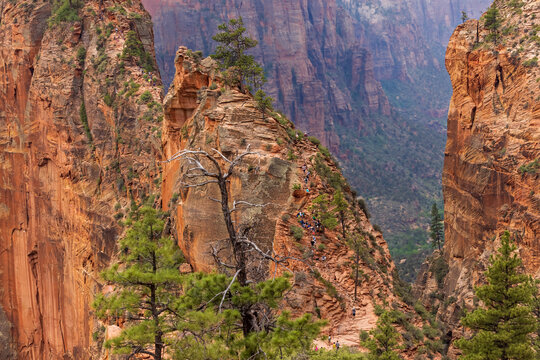 Angel's Landing