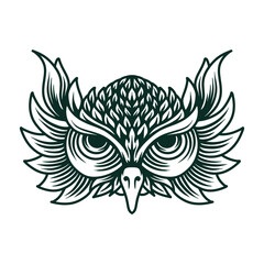 Owl head drawing
