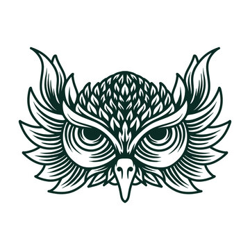 Owl head drawing