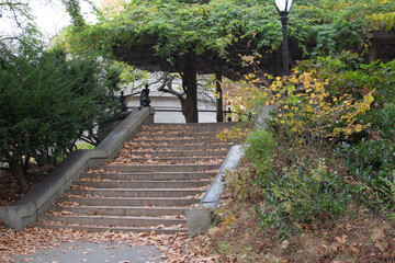 New York City Central Park 