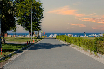 walking path towards the sea surrounded by palm and trees. Selective Focus. no people. sunset sky....