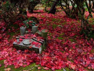 鬼瓦と紅葉 Japan's four seasons　播州清水寺